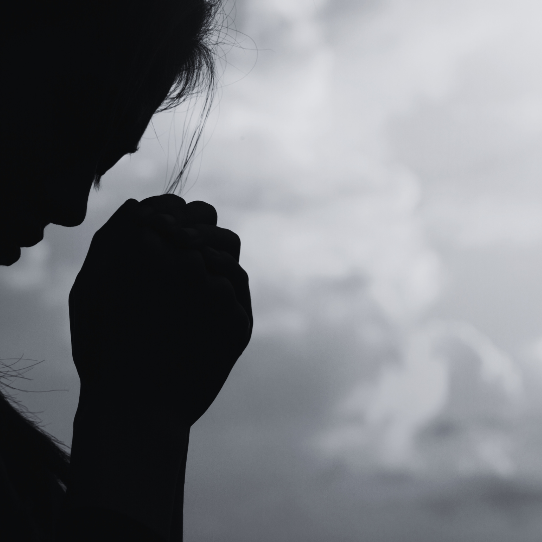 Read more about the article NEW YEAR, NEW WALK