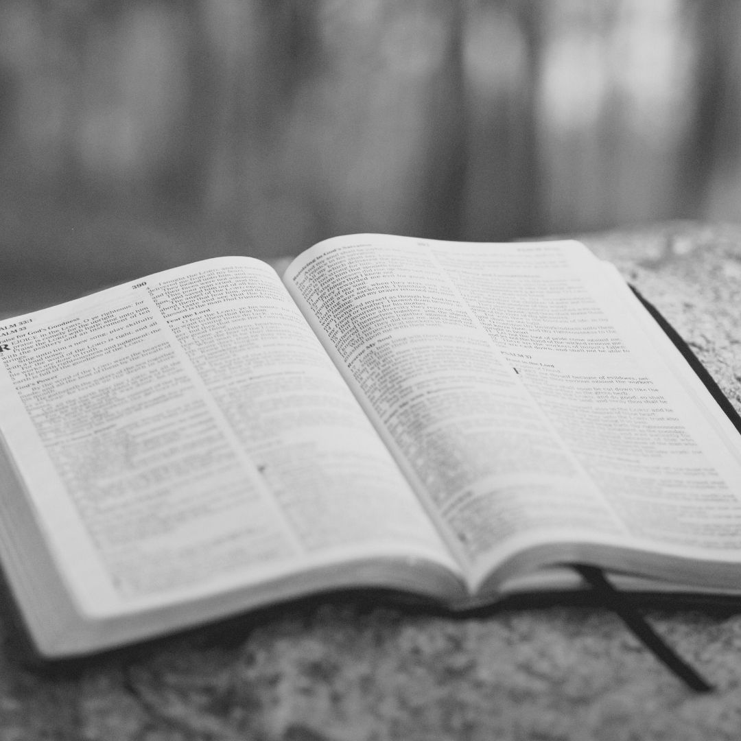 Read more about the article DO YOU TRUST HIM?