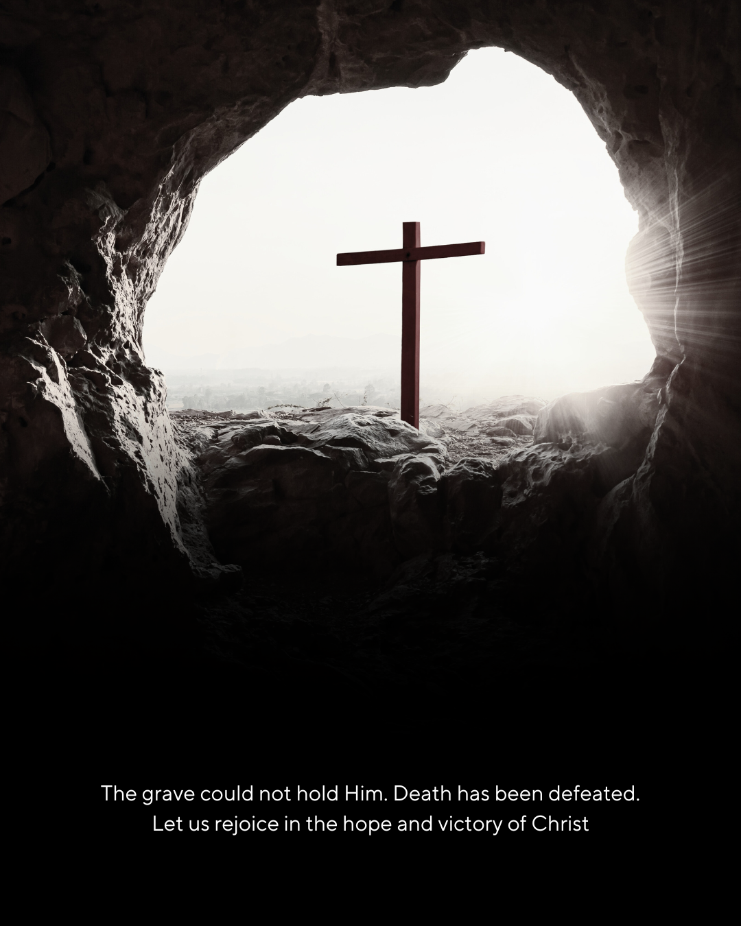 Read more about the article HE LIVES